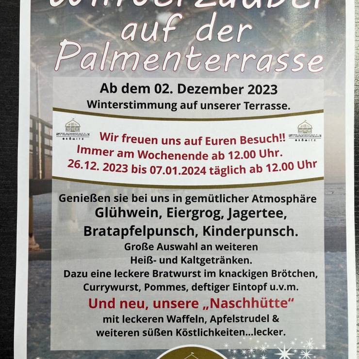Winterzauber auf unserer Palmenterrasse